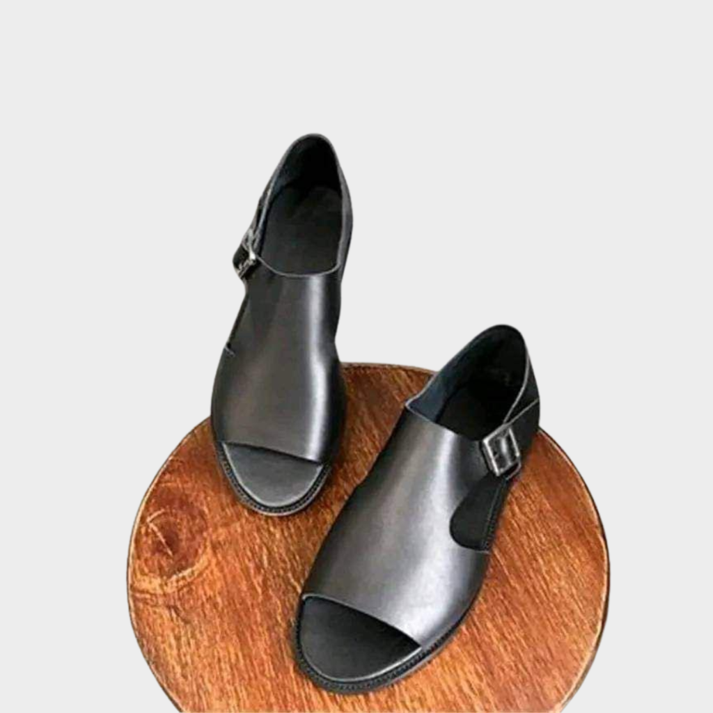 Chaussure homme A14